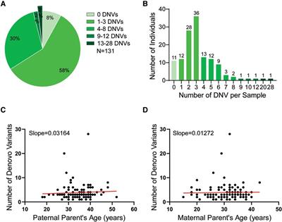 Resolving inherited and de novo germline predisposing sequence variants by means of whole exome trio analyses in childhood hematological malignancies